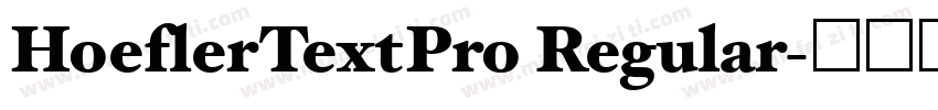 HoeflerTextPro Regular字体转换